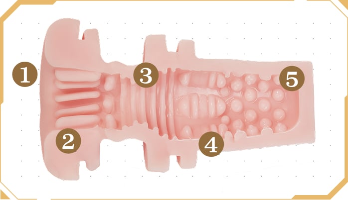 Standard Vaginal Tunnel