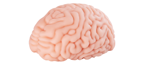 Brain Hacker DX